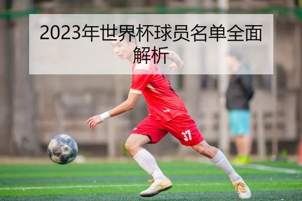 2023年世界杯球员名单全面解析