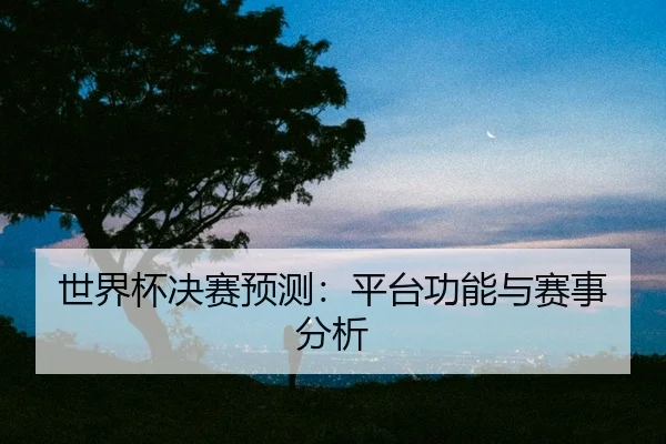 世界杯决赛预测：平台功能与赛事分析