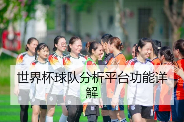 世界杯球队分析平台功能详解