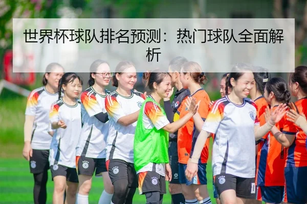 世界杯球队排名预测：热门球队全面解析