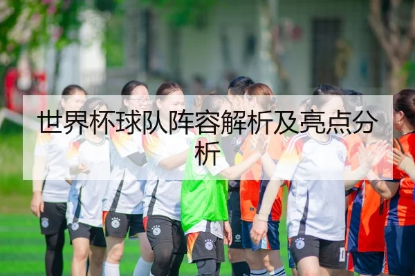 世界杯球队阵容解析及亮点分析